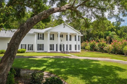 Casa en venta en Mount Dora, Florida, 4 dormitorios, 412.49 m2 № 2196587 - foto 3