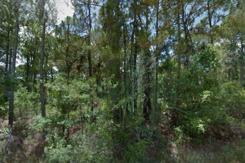 Land in North Port, Florida № 2164354