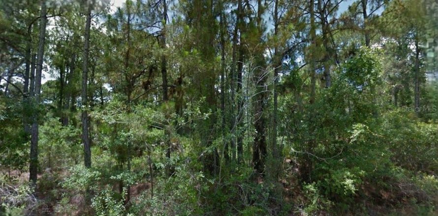 Land in North Port, Florida № 2164354