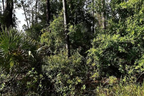 Land in North Port, Florida № 2164354 - photo 2
