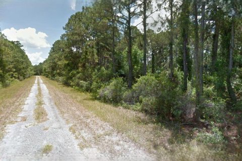 Land in North Port, Florida № 2164354 - photo 3