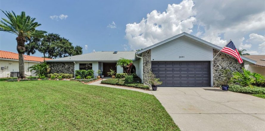 House in Palm Harbor, Florida 4 bedrooms, 221.85 sq.m. № 1853776