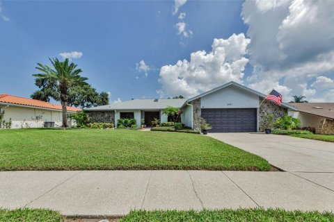 House in Palm Harbor, Florida 4 bedrooms, 221.85 sq.m. № 1853776 - photo 2