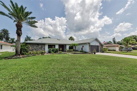 House in Palm Harbor, Florida 4 bedrooms, 221.85 sq.m. № 1853776 - photo 3