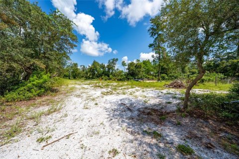 House in Eustis, Florida 2 bedrooms, 98.66 sq.m. № 2304958 - photo 21