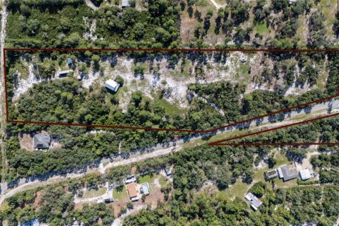 House in Eustis, Florida 2 bedrooms, 98.66 sq.m. № 2304958 - photo 27