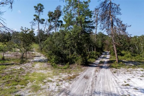 House in Eustis, Florida 2 bedrooms, 98.66 sq.m. № 2304958 - photo 26