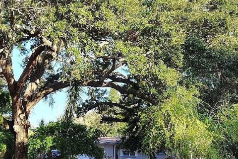 Casa en venta en Tarpon Springs, Florida, 3 dormitorios, 75.81 m2 № 1725192 - foto 13