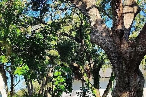 Casa en venta en Tarpon Springs, Florida, 3 dormitorios, 75.81 m2 № 1725192 - foto 10