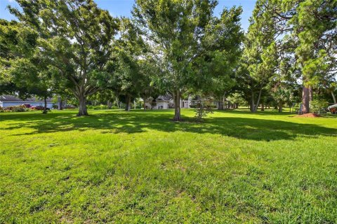 Terrain à vendre à Pinellas Park, Floride № 2373906 - photo 6