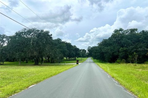 Land in Kissimmee, Florida № 1903874 - photo 2