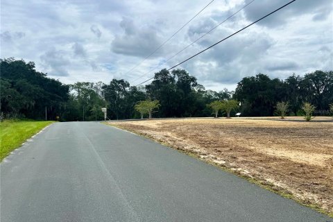Land in Kissimmee, Florida № 1903874 - photo 5