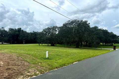 Land in Kissimmee, Florida № 1903874 - photo 3