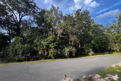 Land in Kissimmee, Florida № 1903874 - photo 1