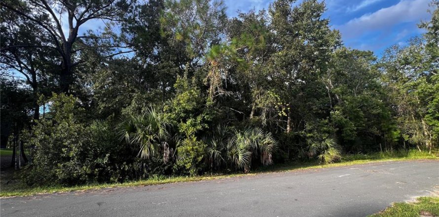 Land in Kissimmee, Florida № 1903874