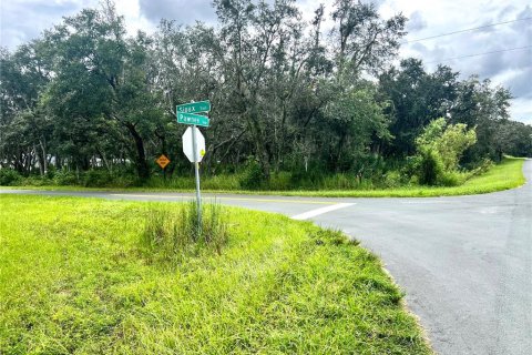 Land in Kissimmee, Florida № 1903874 - photo 4