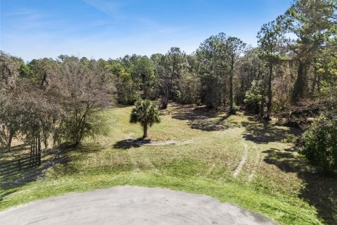 Terrain à Eustis, Floride № 2092898