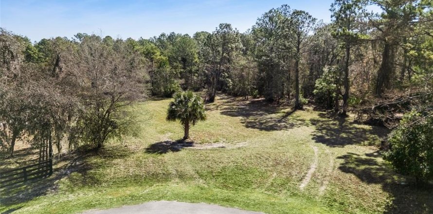 Terrain à Eustis, Floride № 2092898