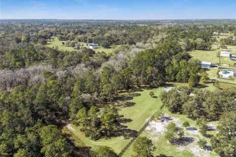 Terrain à vendre à Eustis, Floride № 2092898 - photo 3