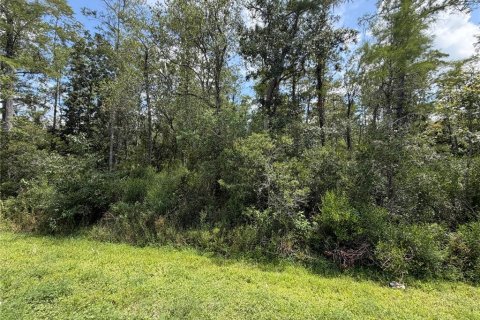 Land in Orlando, Florida № 2364858