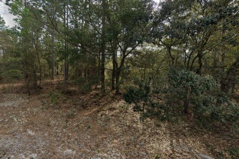 Land in Interlachen, Florida № 2161185