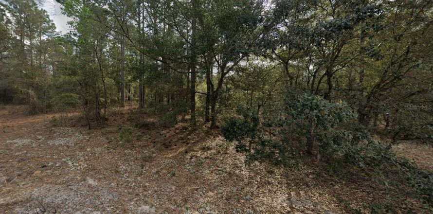 Land in Interlachen, Florida № 2161185