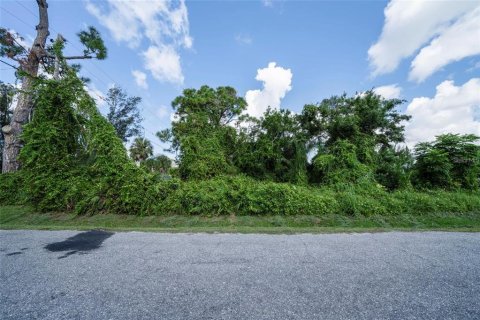 Land in Venice, Florida № 1734162 - photo 8
