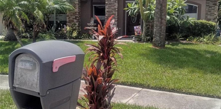 House in Tampa, Florida 3 bedrooms, 226.03 sq.m. № 2237881