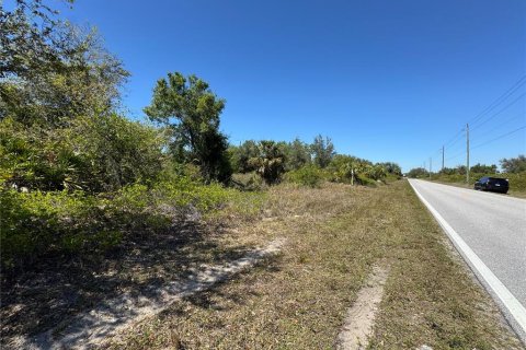 Terrain à vendre à Punta Gorda, Floride № 2216834 - photo 7