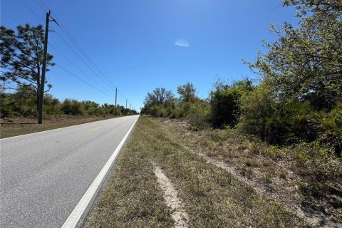 Terrain à vendre à Punta Gorda, Floride № 2216834 - photo 6