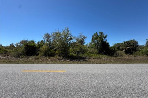 Terrain à vendre à Punta Gorda, Floride № 2216834 - photo 5