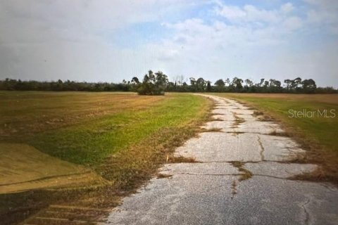 Land in Placida, Florida № 2228932 - photo 6