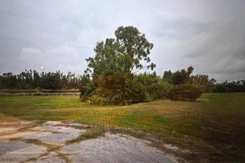 Land in Placida, Florida № 2228932 - photo 5