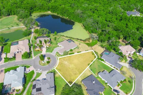 Land in Lakeland, Florida № 1901368 - photo 4