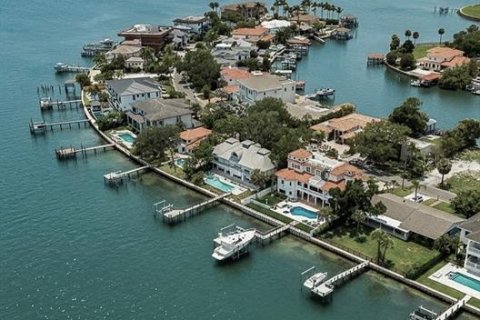 Villa ou maison à vendre à Tampa, Floride: 7 chambres, 977.61 m2 № 2148024 - photo 7