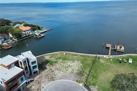 Villa ou maison à vendre à Tampa, Floride: 7 chambres, 977.61 m2 № 2148024 - photo 4