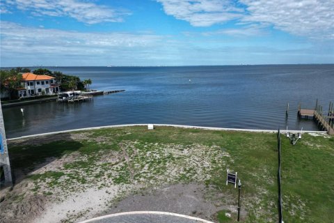 Villa ou maison à vendre à Tampa, Floride: 7 chambres, 977.61 m2 № 2148024 - photo 14