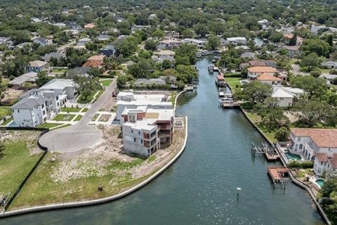 Villa ou maison à vendre à Tampa, Floride: 7 chambres, 977.61 m2 № 2148024 - photo 15