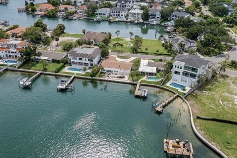 Villa ou maison à vendre à Tampa, Floride: 7 chambres, 977.61 m2 № 2148024 - photo 9