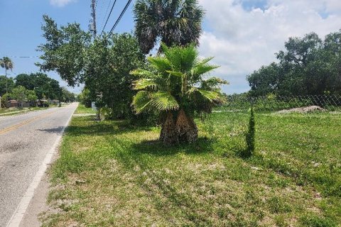 Land in Largo, Florida № 548382 - photo 2