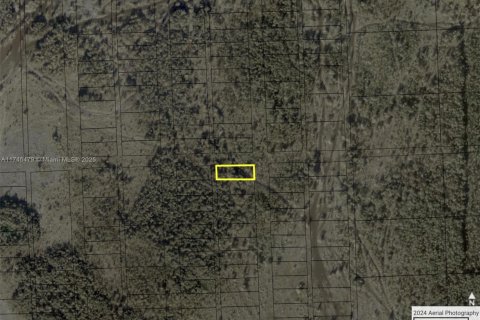 Купить земельный участок в Майами, Флорида № 1985177 - фото 2