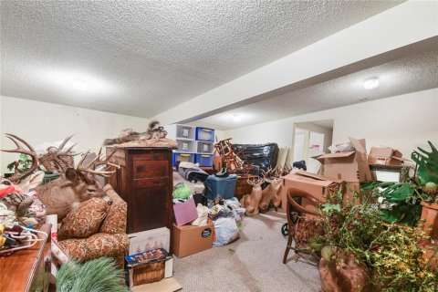 Commercial property in Saint Augustine, Florida № 2205804 - photo 6