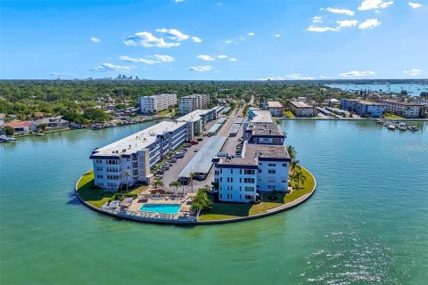Condo in Gulfport, Florida, 2 bedrooms № 2212216 - photo 24