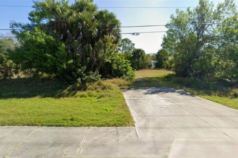 Land in Punta Gorda, Florida № 2166205 - photo 4