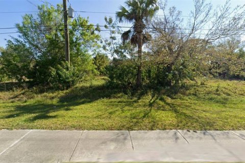 Land in Punta Gorda, Florida № 2166205 - photo 2