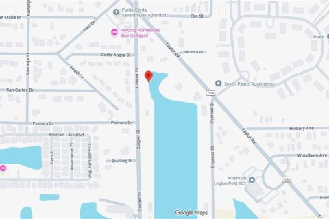 Land in Punta Gorda, Florida № 2166205 - photo 6
