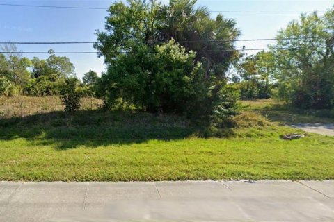 Land in Punta Gorda, Florida № 2166205 - photo 5
