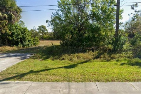 Land in Punta Gorda, Florida № 2166205 - photo 3