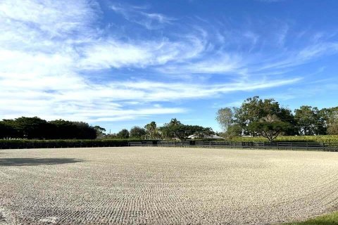 House in Wellington, Florida 8 bedrooms, 337.79 sq.m. № 2187301 - photo 26