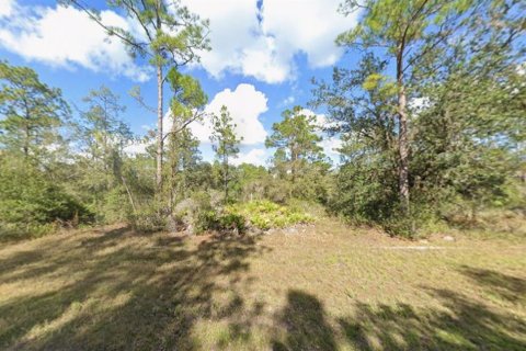 Land in Indian lake estates, Florida № 2158869